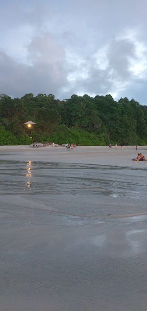 A view of a section of Radhanagar Beach on Havelock Island at Sunset.