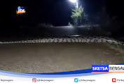 Ular Raksasa Melintas Di Jalan Raya Hebohkan Warga Bojonegoro