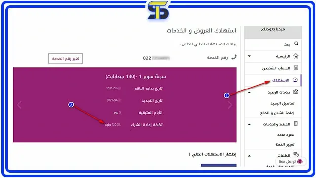 الاستعلام عن فاتورة النت we برقم التليفون من خلال (موقع WE)