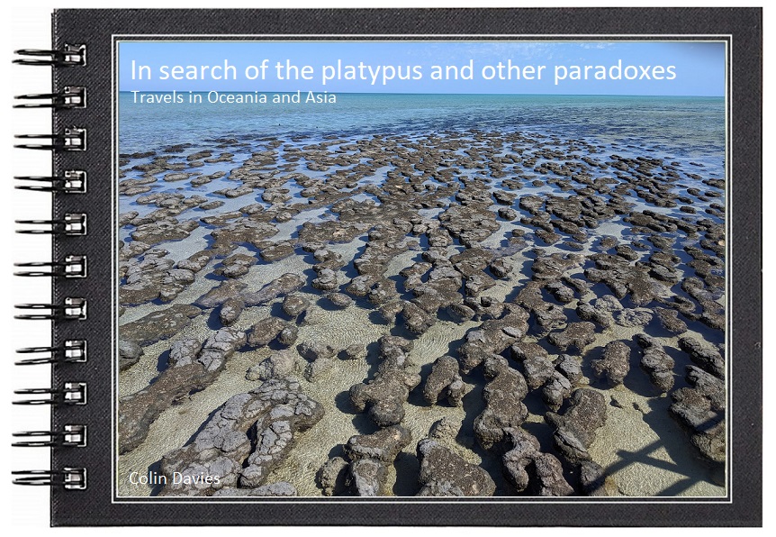 In search of the platypus and other paradoxes