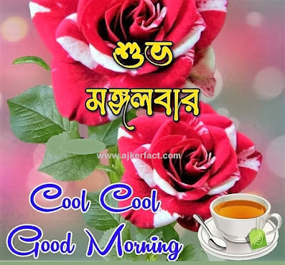 গুড মর্নিং পিকচার গুড মর্নিং পিকচার