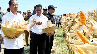 Tinjau Panen Jagung di Sumbawa, Presiden Tegaskan Pentingnya Keseimbangan Harga