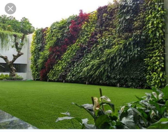 Jasa Pembuatan Taman Vertikal Garden Murah Berkualitas Desain Sesuai Keinginan