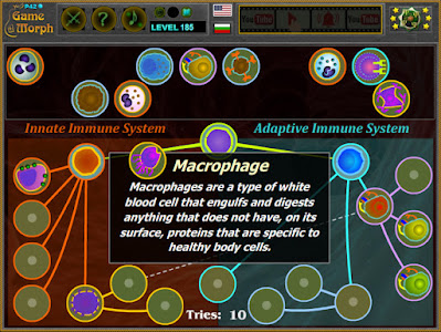 Immune Cells Puzzle