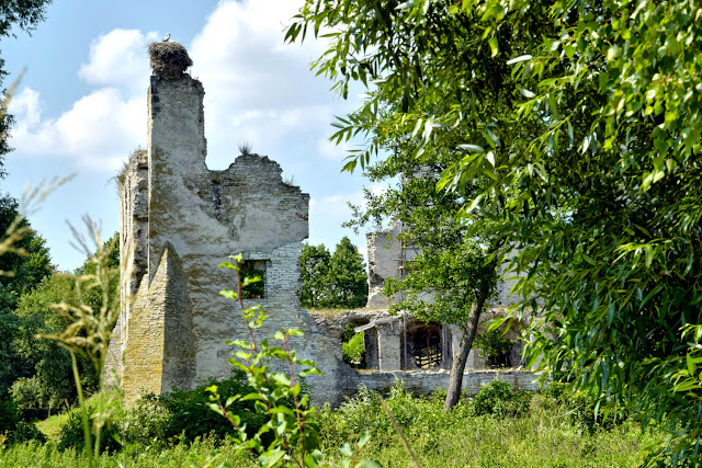 mokrsko-gorne-ruiny-zamku