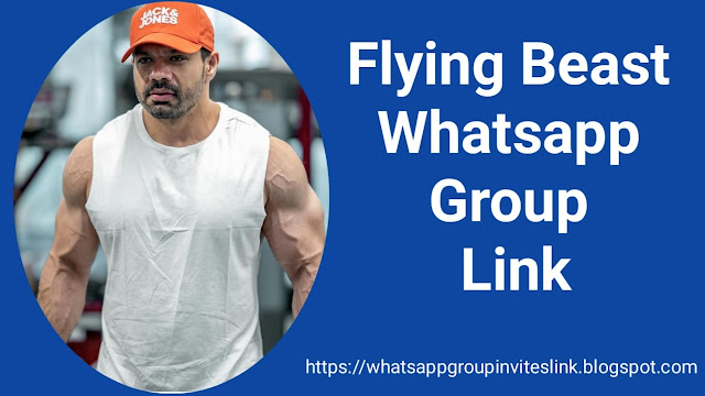 Flying Beast WhatsApp Group Link