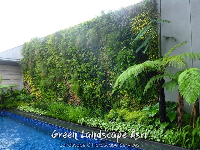 Jasa Vertical Garden Makassar - Jasa Pembuatan Taman Vertikal di Makassar