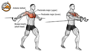 Old-School Chest Workout For Mass and Strength