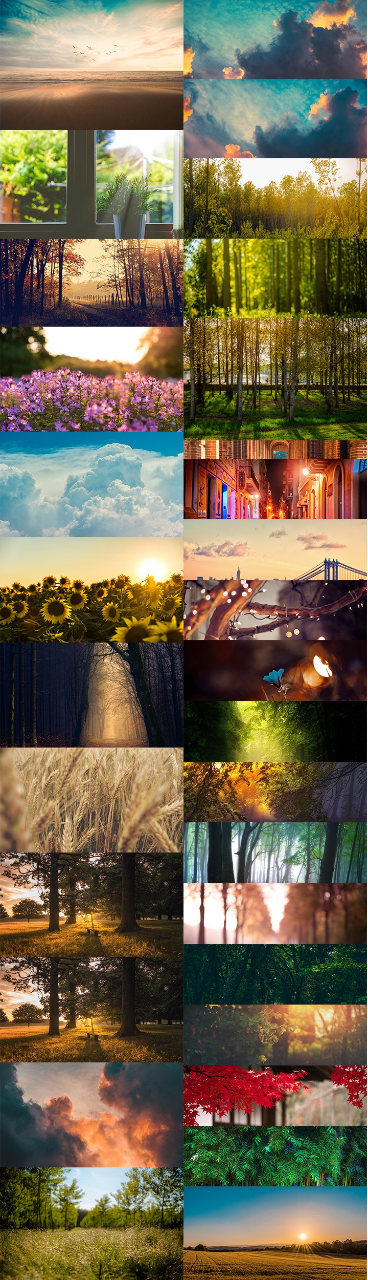 250+ New and Creative Natural Background for Photo Editing Free Download