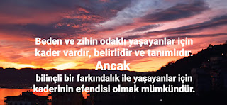 Resim