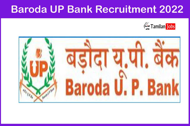 Baroda UP Gramin Bank Apprentice 2022, Apply Online