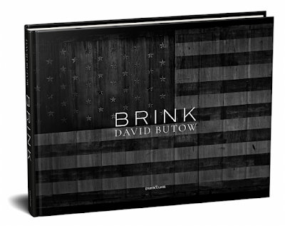 cover of the book BRINK