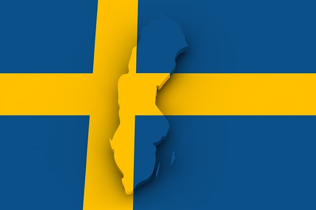 الاستيراد والتصدير في السويد | 3 شركات كبرى هناك يمكنك البدء معها ما هي ؟