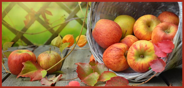 Suco detox de maçã e gengibre acelera o metabolismo e ajudar a desinchar; preparação poderosa - Crédito (Pixabay License)