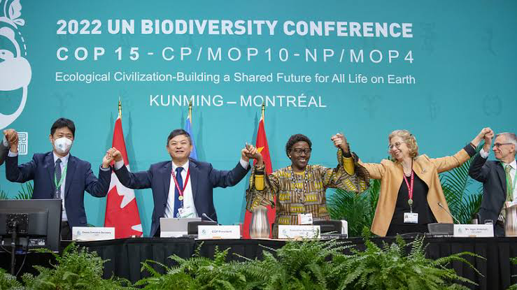 CBD, COP, biodiversity, ecosystem