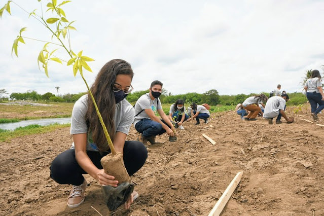 João Azevêdo inicia projeto de recuperação das nascentes do Rio Paraíba com plantio de mudas em Monteiro