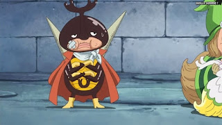 ワンピースアニメ ドレスローザ編 714話 カブ 小人族 Dwarves トンタッタ王国 Tontatta Kingdom | ONE PIECE Episode 714