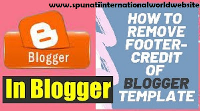 Footer Credit Remove Code
