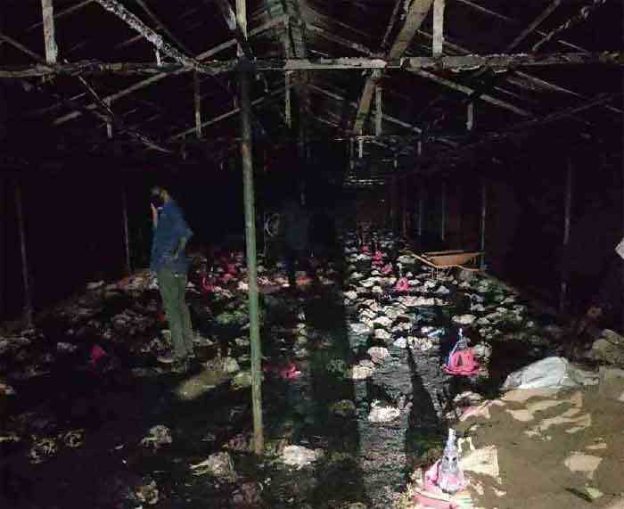 News, Kerala, Fire, Accident, death, Chicken, Farm, Koodaranji, 2500 chickens died in fire at Koodaranji farm