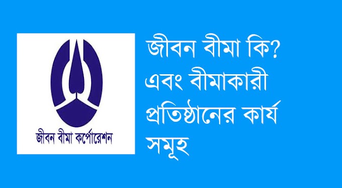 জীবন বীমা কি এবং বাংলাদেশের লাইফ ইন্সুরেন্স কম্পানির তালিকা