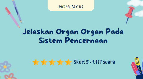 Jelaskan Organ Organ Pada Sistem Pencernaan