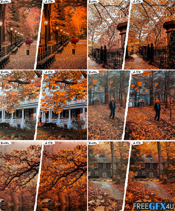 Autumn Photoshop Actions & Presets