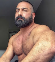 Hairy Daddy Hunks - Big Bears