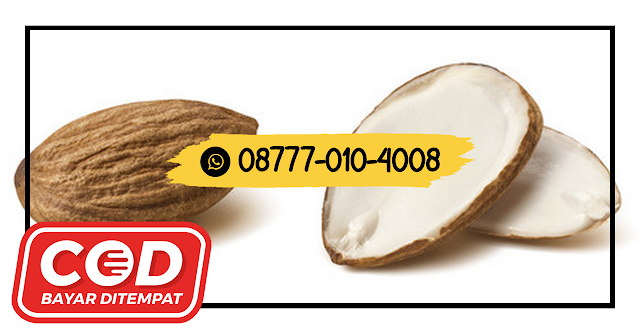 08777 010 4008 MANFAAT KACANG ALMOND UNTUK KULIT BERJERAWATTulungagung