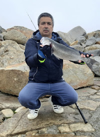 PEIXE DE AGOSTO