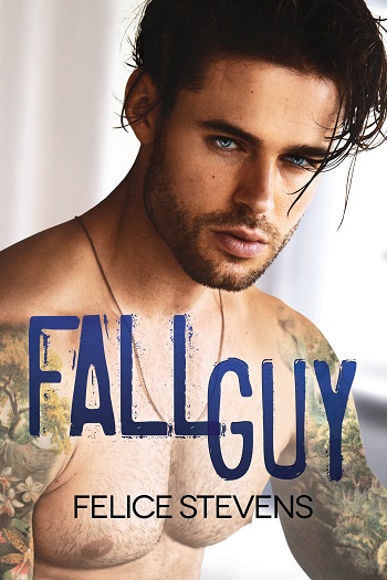 Fall Guy by Felice Stevens
