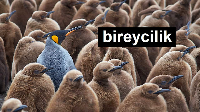 bireycilik