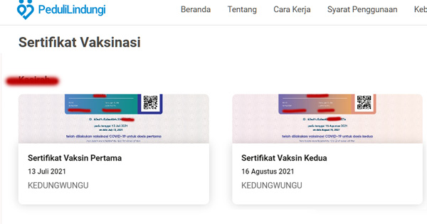 contoh sertifikat vaksin yang bisa di edit.jpg