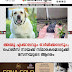 അമ്മു എക്കാലവും ഓർമിക്കപ്പെടും;  പൊലീസ് നായക്ക് സ്മാരകമൊരുക്കി  സേനയുടെ ആദരം 