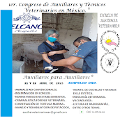 PRIMER CONGRESO DE AUXILIARES Y TÉCNICOS VETERINARIOS