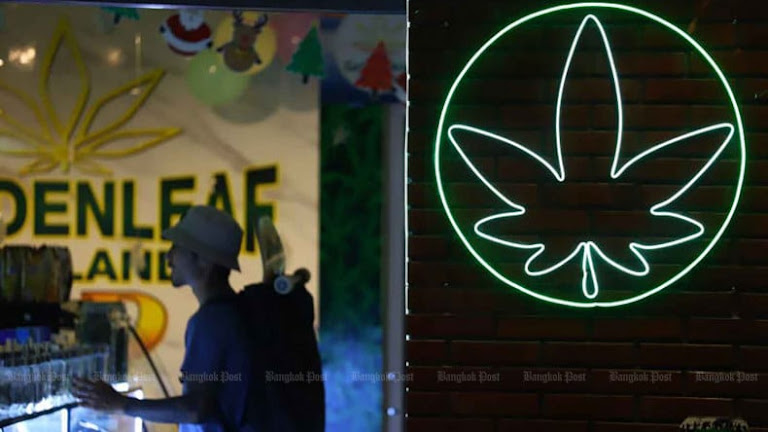 Thailand grapples with cannabis crisis, warns of youth health risks.