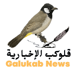 قلوكب الإخبارية Galukab News