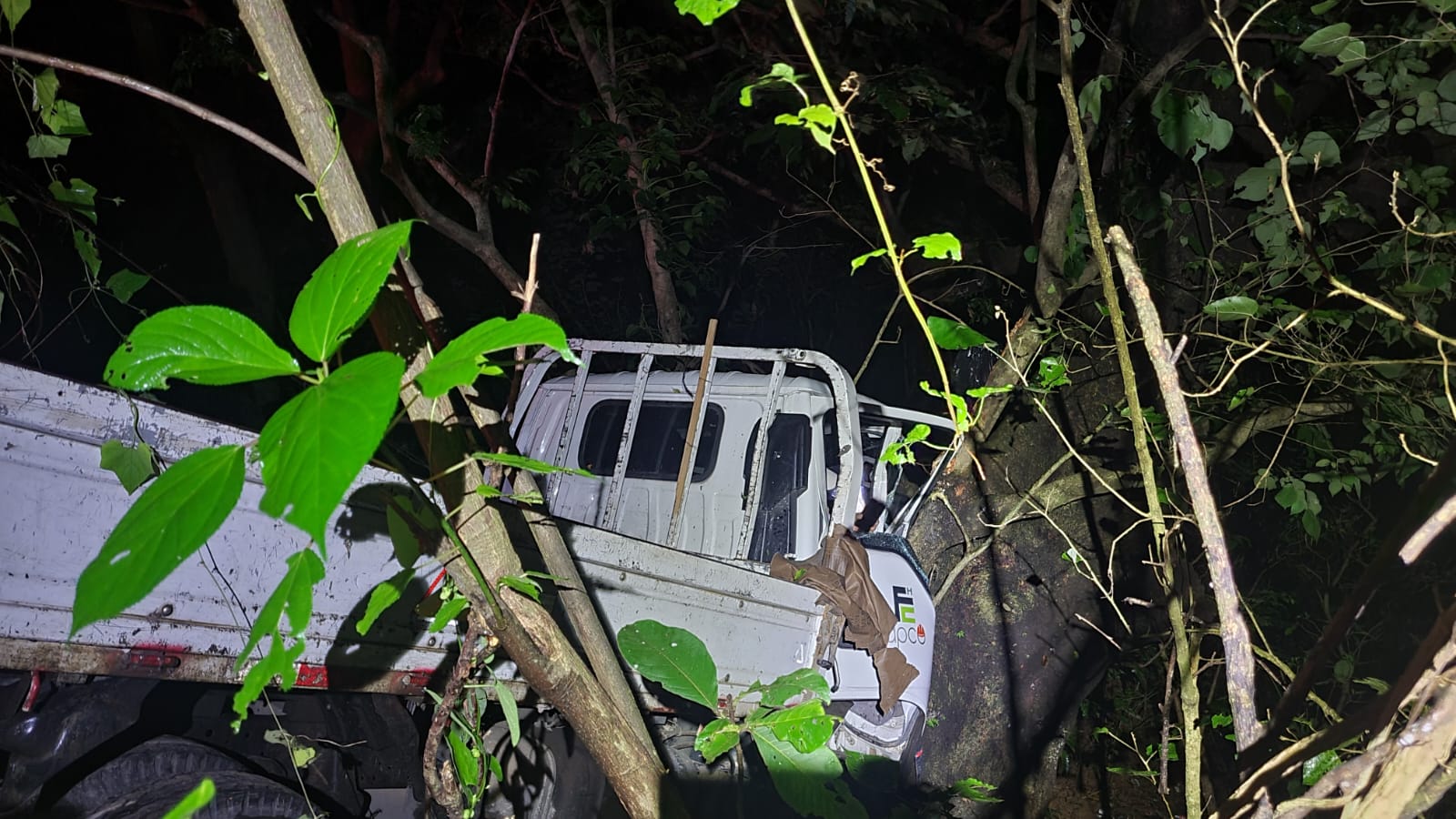 El Salvador: PNC auxilia a conductor que perdió el control e impactó contra un árbol en la carretera hacia Rosario de Mora, a la altura de La Pedrera