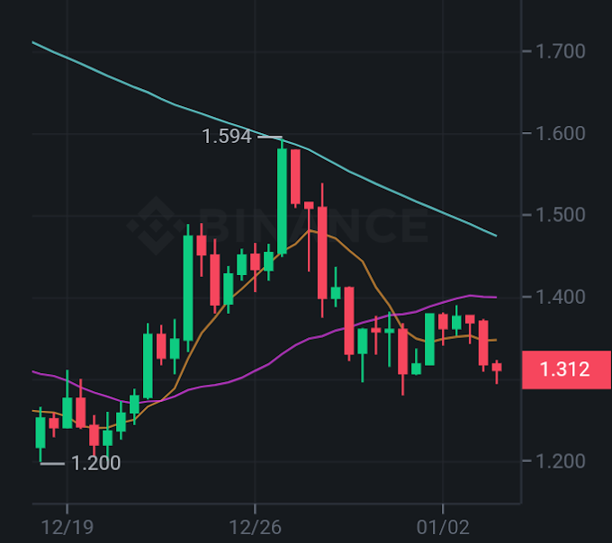 Cardano price to go against the wind