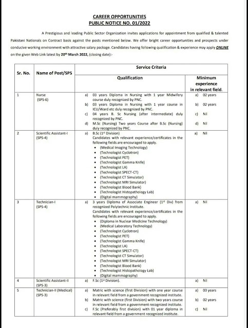 Multiple jobs in pulic sector organization