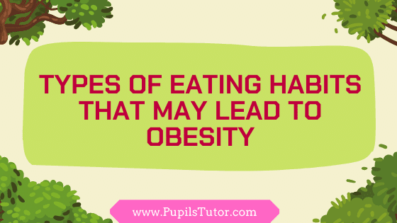 What Are The Basic Causes Of Obesity? - Describe What Type Of Eating Habits Are Associated With Obesity | List 12 Main Causes Of Obesity & Overweight - www.pupilstutor.com