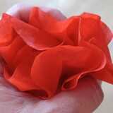 Coffee Filter Poppy Flower step 9