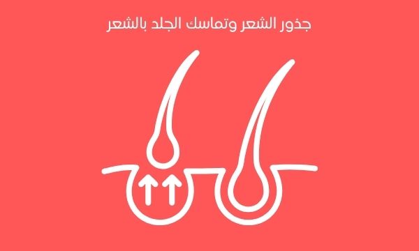 علاج تساقط الشعر