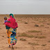 الغذاء العالمي يحذر من مجاعة في مناطق من موريتانيا