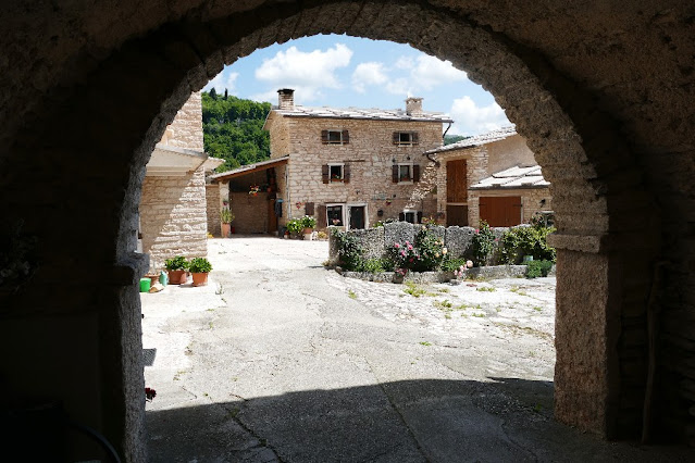 colli veneti