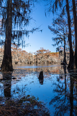 Saw Mill Pond, Caddo Lake State Park