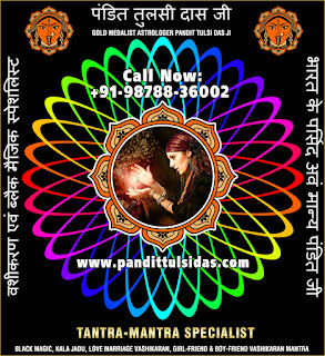 Vashikaran Specialist in India Punjab Phillaur Jalandhar +91-9878836002 https://www.pandittulsidas.com