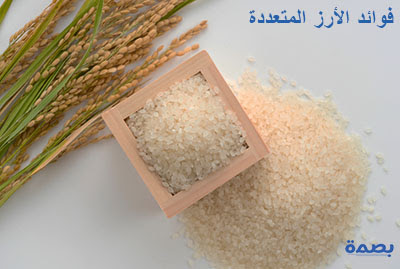فوائد الأرز المتعددة