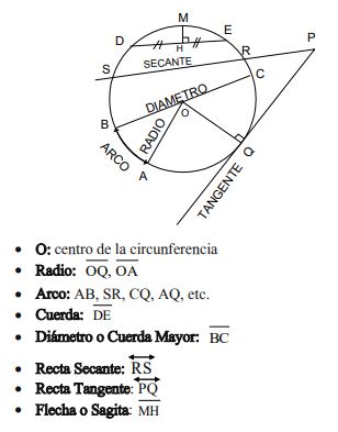 ELEMENTOS DE LA CIRCUNFERENCIA