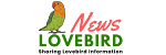lovebirdnews