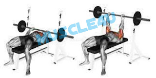 Close-grip Bench Press